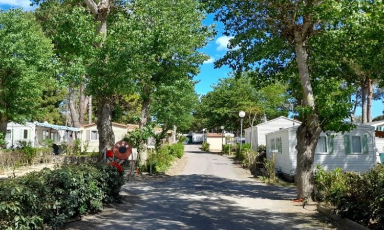 Réserver un hébergement insolite - Agde - Camping Les Jardins d'Agathe