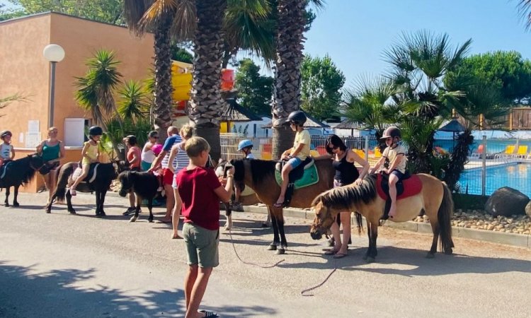 Poney - Agde - Camping Les Jardins d'Agathe